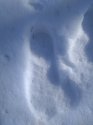 IMG_20200222_153127022_50.jpg