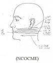 022520.diagram.ME..JPG