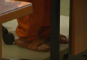 Pedi.png