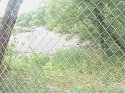 DSC00048.JPG