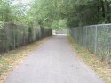 DSC00056.JPG