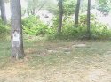 DSC00057.JPG
