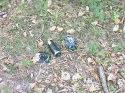 DSC00073.JPG