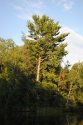DSC_0116.jpg