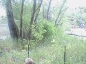 DSC00075.JPG