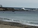 glouc 1 03212020.JPG