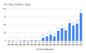 _UK New Deaths Daily (3).png