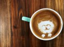 catFacedCoffee.jpg
