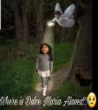 Dulce Angel Guide.jpg