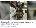 C0A40153-9F5C-439C-99D7-F0C6EC3B384E.jpeg