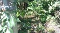 2012-08-13_13-55-23_241.jpg