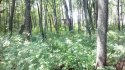 2012-08-13_13-58-07_831.jpg