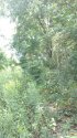 2012-08-13_14-02-08_215.jpg