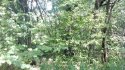 2012-08-13_14-01-09_572.jpg