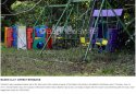 Backyard3.jpg