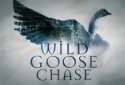 wildgoosechase.jpg
