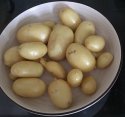 E04B572C-9BF1-4BF1-AAA8-D4EA8DA1F55D.jpeg