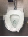 20200524_120921.jpg