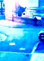 103CC8D5-B0AA-4E9F-ABBC-4768FE5972D6.jpeg