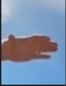 ring.JPG