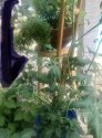 C5106DBE-11EC-4FC4-8CBB-6636910A76F4.jpeg