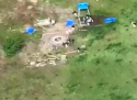 yard.PNG