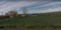 backyard2009-2.png