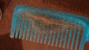 20200617_091316.jpg