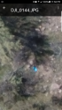 Screenshot_20200526-235840.png