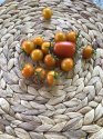IMG_0783.jpeg