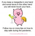 Margartia.jpg