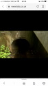 283D046D-25A1-4848-830B-AA5D2F9C790D.png