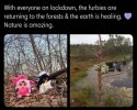 Furbies.jpg