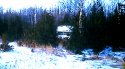 Culls trailer in the trees.jpg