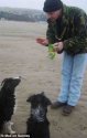 article-2213802-155E4CFA000005DC-915_306x482.jpg