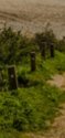 Screenshot_20200807-080121_Gallery.jpg