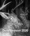 Dear season.jpg