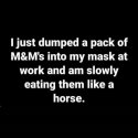 M&Ms.jpg