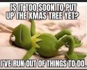 Xmas tree yet.jpg