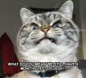 4 months.jpg