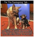 Pre thanksgiving.jpg
