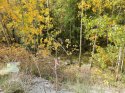 20200926_120647_01_compress96.jpg