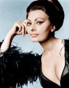 arabesque-sophia-loren-1966-everett.jpg