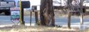mailbox.JPG