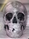 DennisSkull.JPG