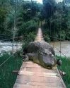 Bridge to 2021.jpg