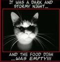 Dark & stormy.jpg
