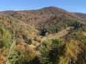 Trees_Maggie Valley+Oct 20.jpg