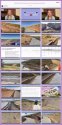 102920.LaurenScharf-Investigates-theBroomfieldJob.youtube.JPG