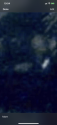 C8E176D8-3288-4422-8EBE-71FA86A546BA.png